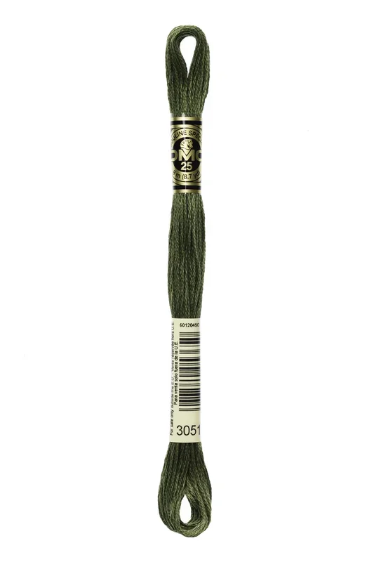 Cotone Dmc Da Ricamo Mouline Colore 3051